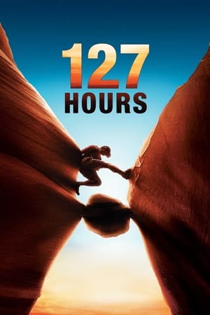 127 Hours (2010) Hindi Dual Audio 480p BluRay 330MB - Movierulz