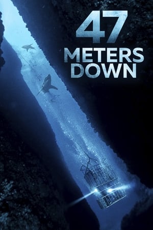 47 Metres Down (2017) Hindi Dual Audio 480p BluRay 300MB - Movierulz