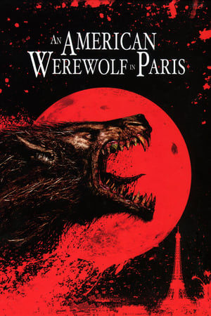 An American Werewolf in Paris 1997 Hindi Dual Audio 720p BluRay [860MB] - Movierulz