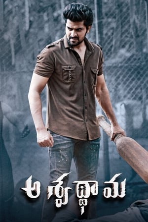 Aswathama 2020 (Hindi – Telugu) Dual Audio 480p UnCut HDRip 340MB - Movierulz