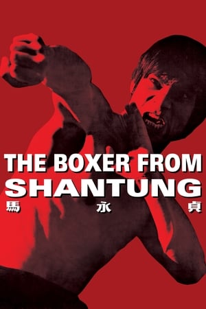 Boxer from Shantung (1972) Hindi Dual Audio 720p BluRay [1.2GB] - Movierulz