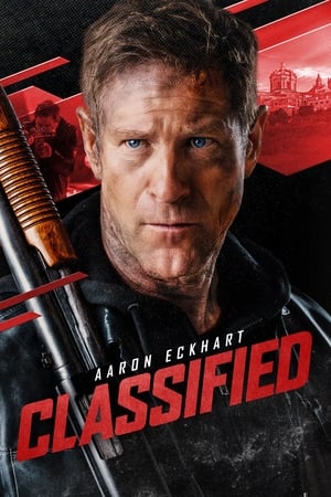 Classified 2024 Hindi Dubbed WEBRip 720p - Movierulz