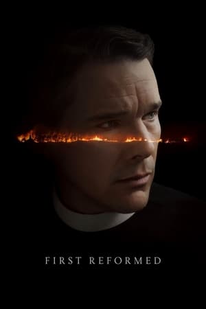 First Reformed 2017 Hindi Dual Audio 720p BluRay [990MB] - Movierulz