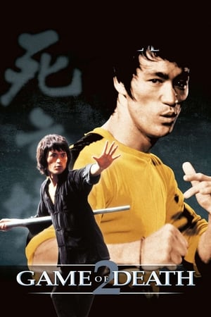 Game of Death II (1981) Dual Audio Hindi 480p BluRay 300MB - Movierulz
