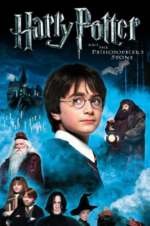 Harry Potter and the Sorcerer's Stone 2001 Hindi Dual Audio WEB-DL 1080p - 720p - 480p - Movierulz