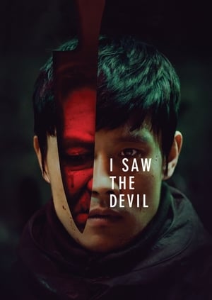 I Saw the Devil 2010 Hindi Dual Audio HDRip 720p – 480p - Movierulz