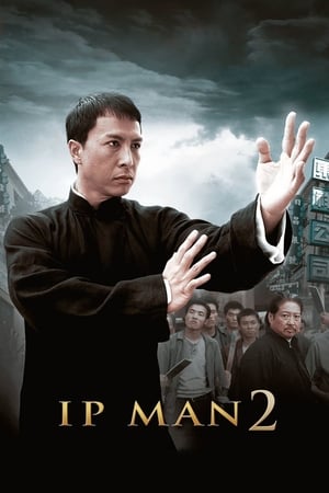 Ip Man 2 (2010) Hindi Dual Audio 480p BluRay 350MB - Movierulz