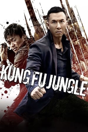 Kung Fu Jungle (2014) Hindi Dual Audio 480p BluRay 300MB - Movierulz