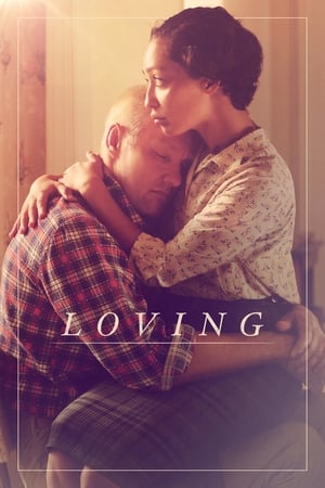 Loving (2016) Hindi Dual Audio 480p BluRay 420MB - Movierulz