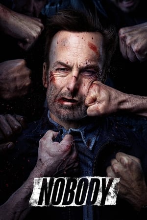 Nobody (2021) Hindi (Cleaned) Dual Audio 720p Web-DL [880MB] - Movierulz