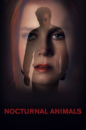 Nocturnal Animals (2016) Hindi Dual Audio 720p BluRay [1GB] - Movierulz