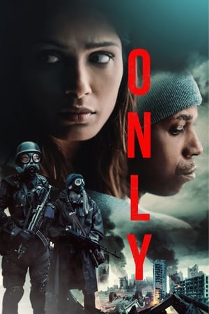 Only 2019 Hindi Dual Audio 480p Web-DL 300MB - Movierulz