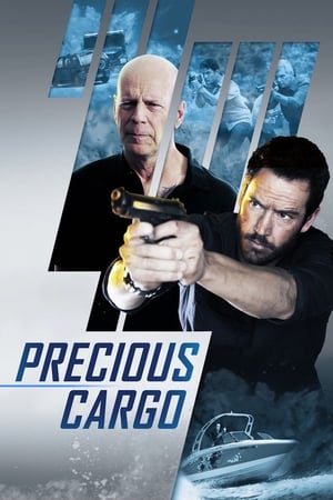 Precious Cargo (2016) Hindi Dual Audio 480p BluRay 300MB - Movierulz