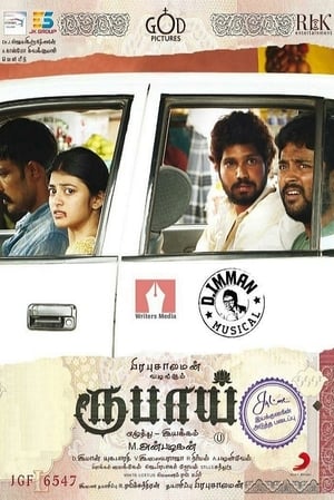 Rubaai (2017) Hindi Dual Audio 720p UnCut HDRip [1.5GB] - Movierulz