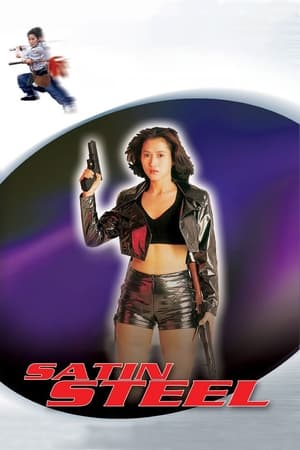 Satin Steel (1994) Hindi Dual Audio 480p Web-DL 260MB - Movierulz