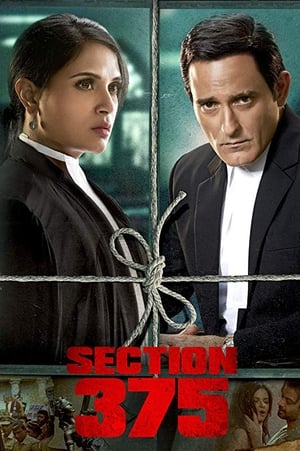 Section 375 (2019) Hindi Movie 480p HDRip - [360MB] - Movierulz
