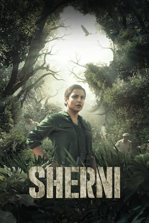Sherni (2021) Hindi Movie 720p HDRip x264 [1.3GB] - Movierulz
