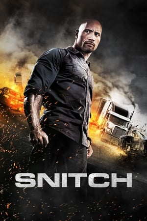 Snitch (2013) Hindi Dual Audio 480p BluRay 350MB - Movierulz