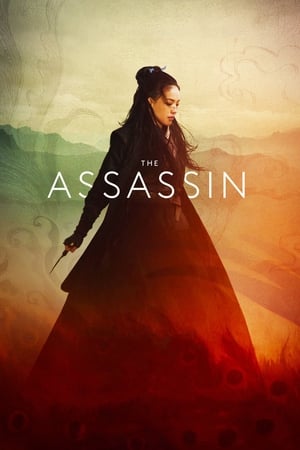 The Assassin 2015 Hindi Dual Audio 480p BluRay 300MB - Movierulz