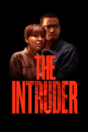 The Intruder (2019) Hindi Dual Audio 720p Web-DL [960MB] - Movierulz