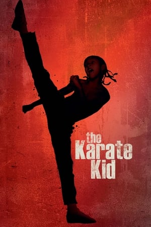 The Karate Kid 2010 Hindi Dubbed 720p Bluray 1GB Movie - Movierulz