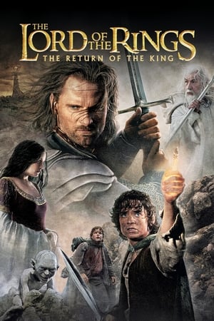 The Lord of the Rings: The Return of the King (2003) Hindi Dubbed BluRay 720p [1.8GB] Download - Movierulz