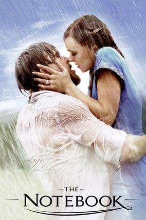 The Notebook 2004 Dual Audio Hindi Full Movie 720p BRRip - 1GB - Movierulz