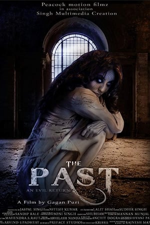 The Past 2018 Hindi Movie 480p HDRip - [350MB] - Movierulz