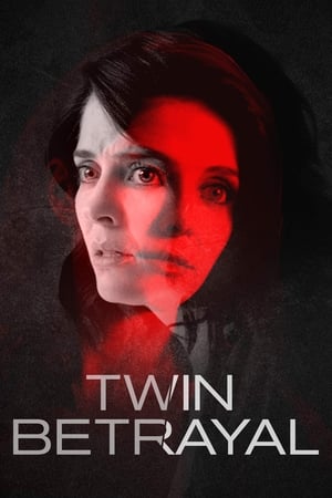 Twin Betrayal (2018) Hindi Dual Audio 480p HDRip 390MB - Movierulz