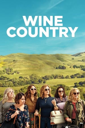 Wine Country (2019) Hindi Dual Audio 480p Web-DL 350MB - Movierulz